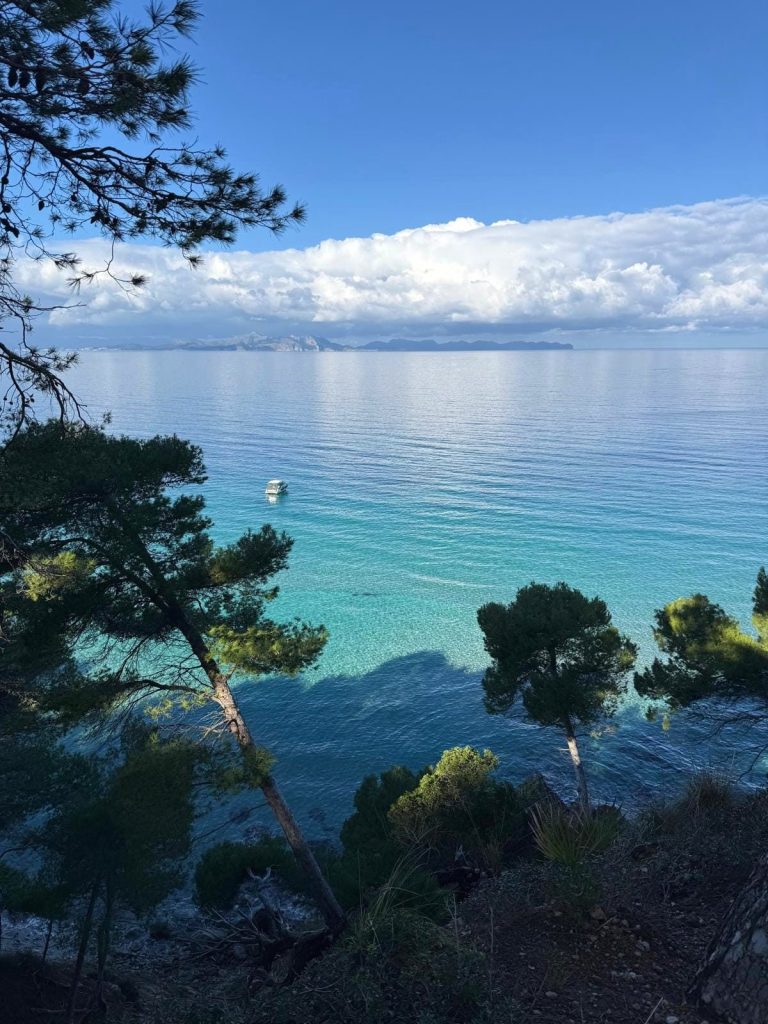 2026 - das Jahr des Pferdes - für Bewegung aus innerer Klarheit heraus 2026 - das Jahr des Pferdes - für Bewegung aus innerer Klarheit heraus