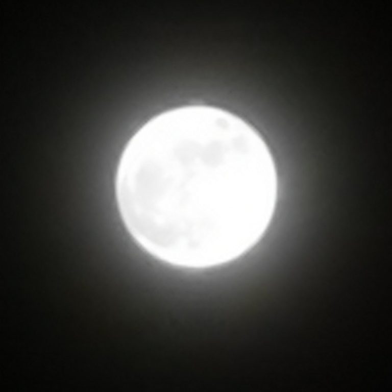 dem Vollmond entgegenträumen