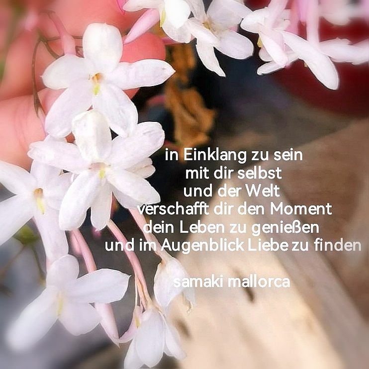 wirklicher Frieden beginnt in dir